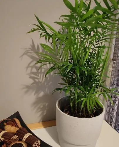 Evaggelia's 2 διαμονή σαν το σπίτι σας Apartamento Kozani